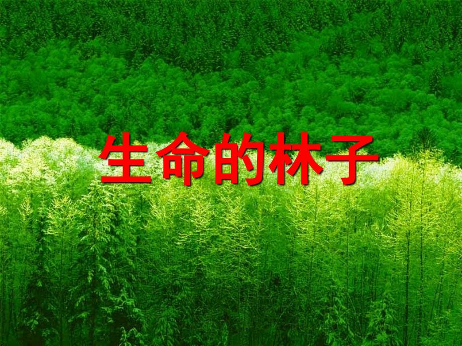 生命的林子课件_第1页