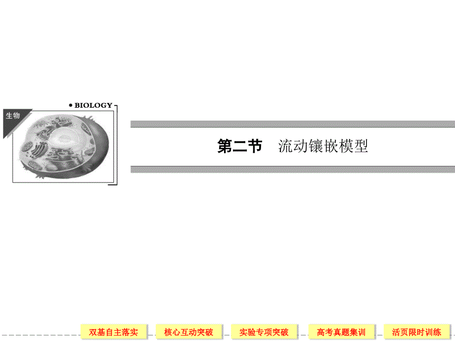 1-4-2流动镶嵌模型课件_第1页