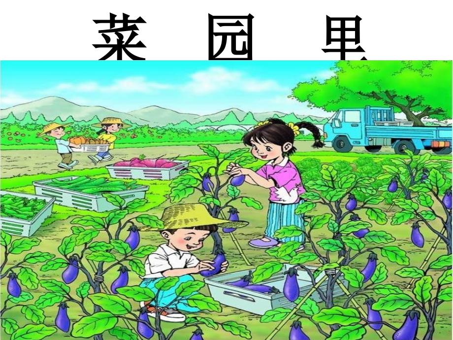 《菜园里》 (2)课件_第1页