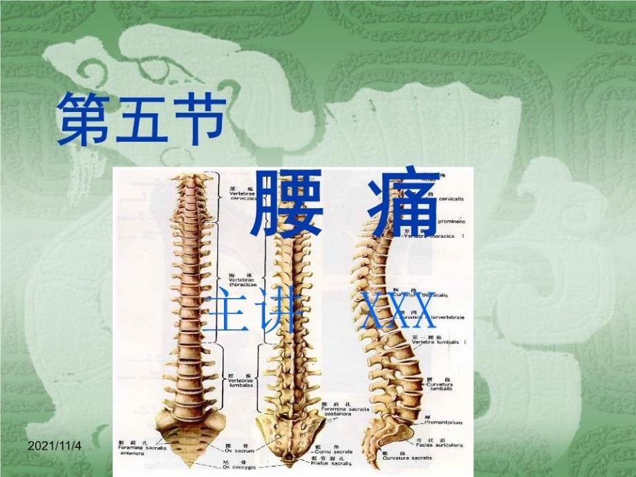 中医内科学6第五节腰痛课件_第1页