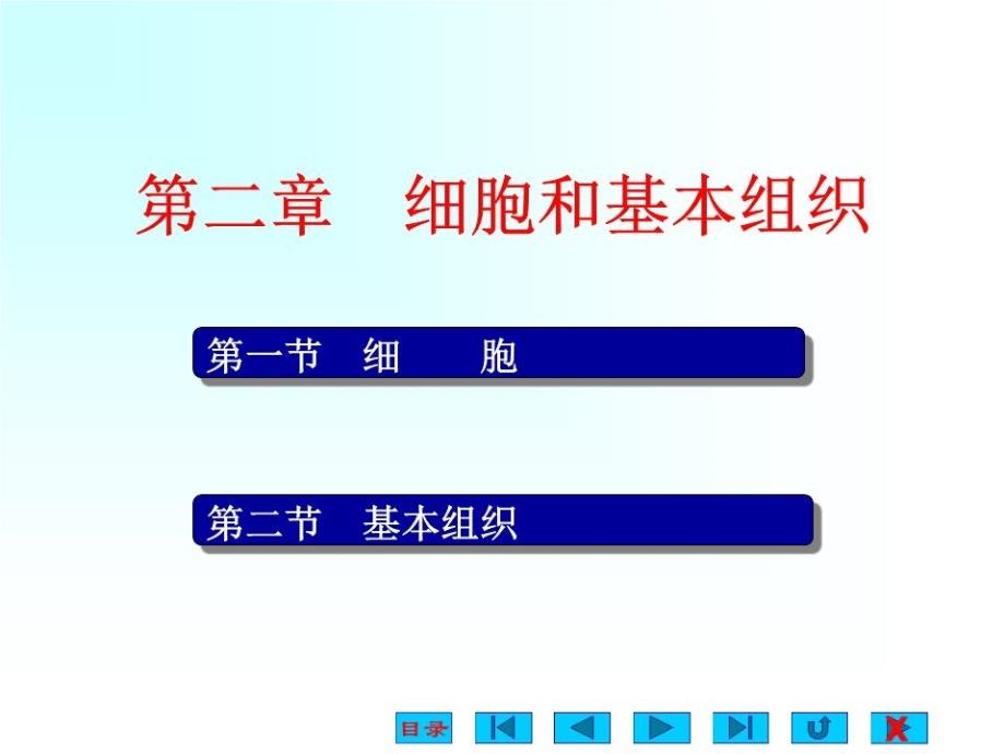 《细胞和基本组织》课件_第1页