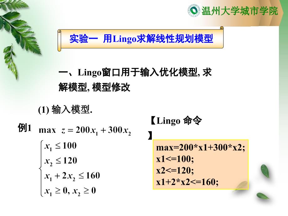 用Lingo求解最优化问题_第1页