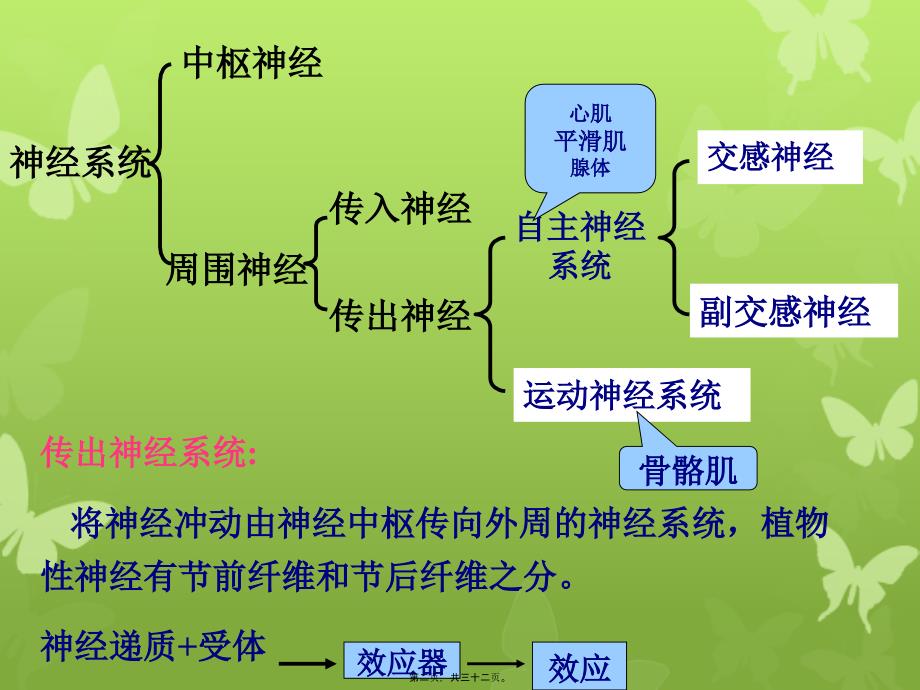 传出神经系统药理概论_第1页