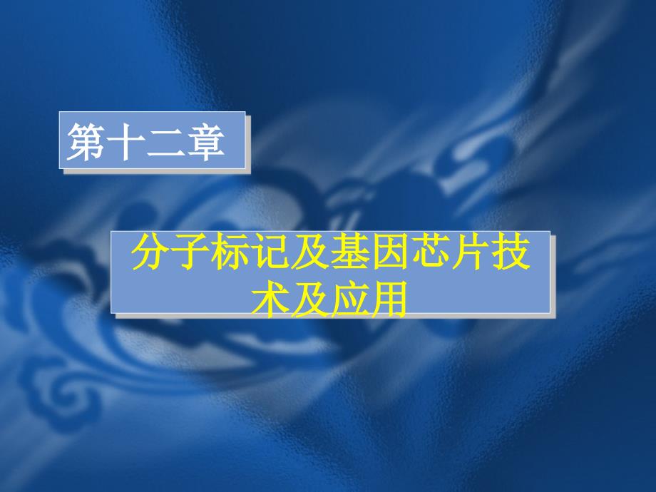 --分子标记及基因芯片技术及应用课件_第1页