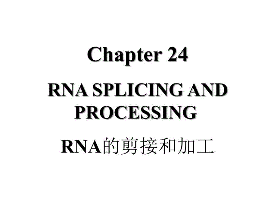 基础分子生物学课件24RNA的剪切与加工_第1页