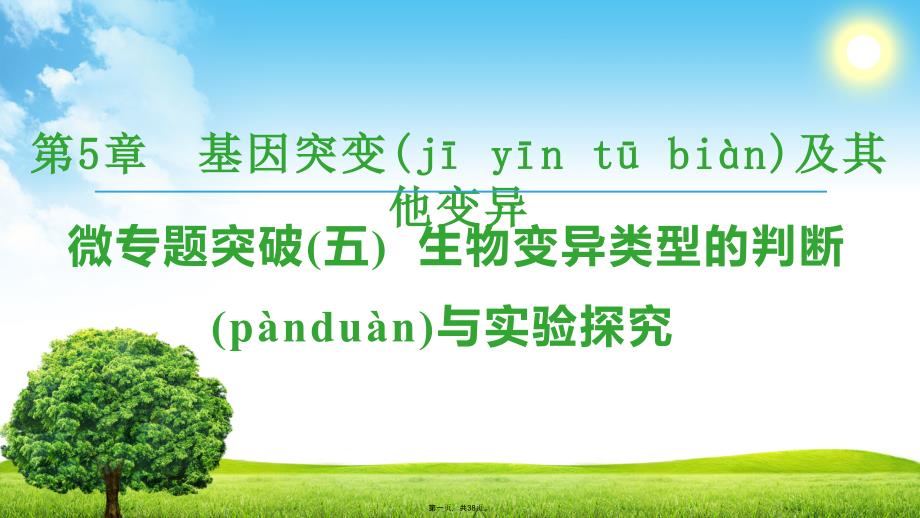 18-19-第5章-微专题突破5--生物变异类型的判断与实验探究课件_第1页