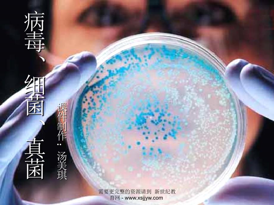 初二生物复习课课件19套-3_第1页