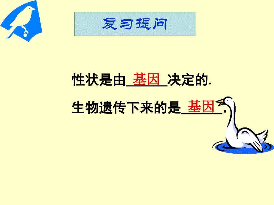 (精心整理)基因在亲子代间的传递课件_第1页