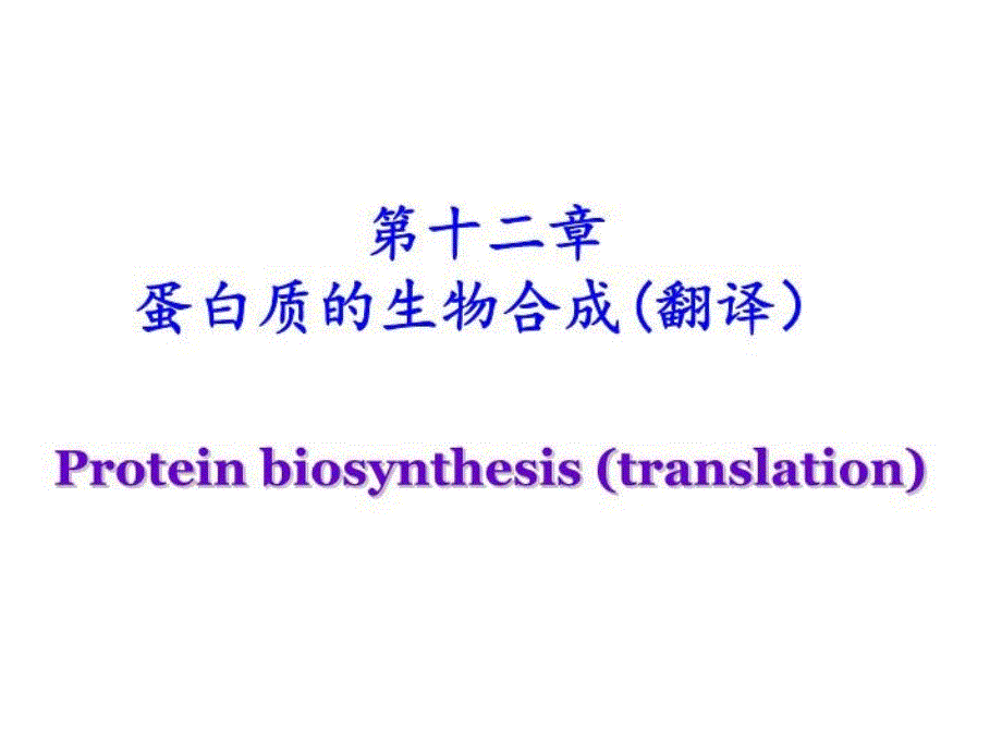 生物化学第12章翻译课件_第1页