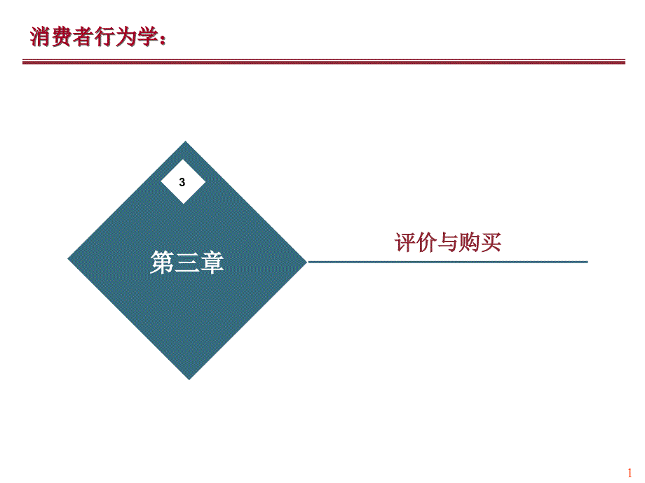 消费者行为学--评价与购买(-44张)课件_第1页