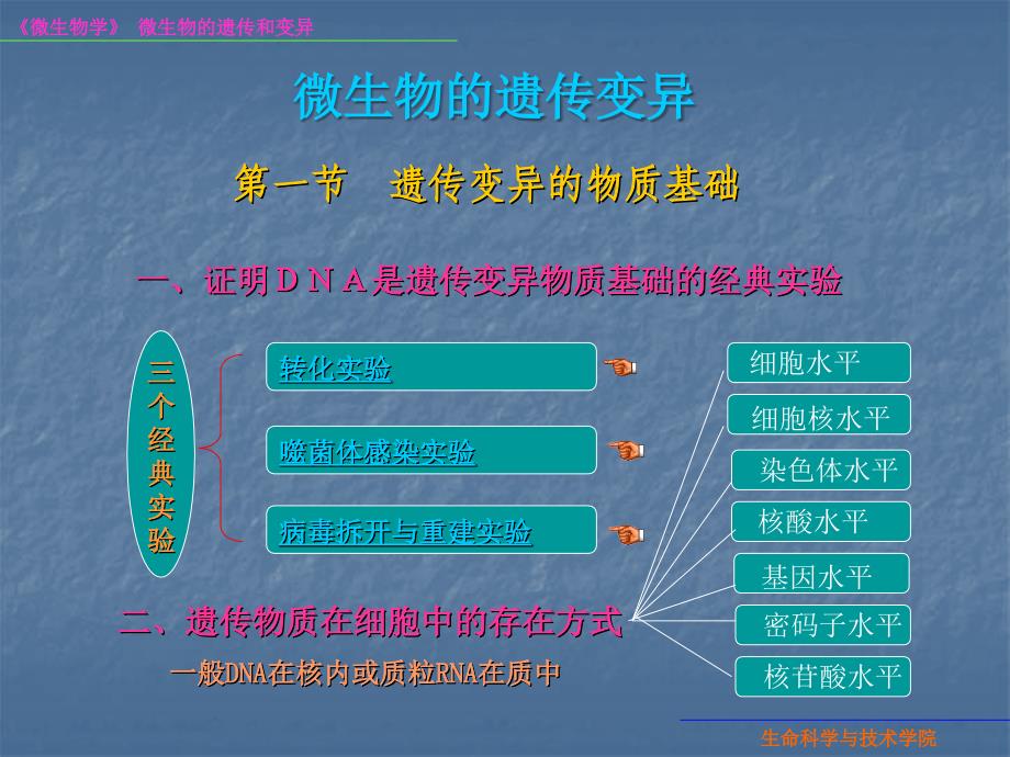 微生物学8微生物的遗传变异课件_第1页