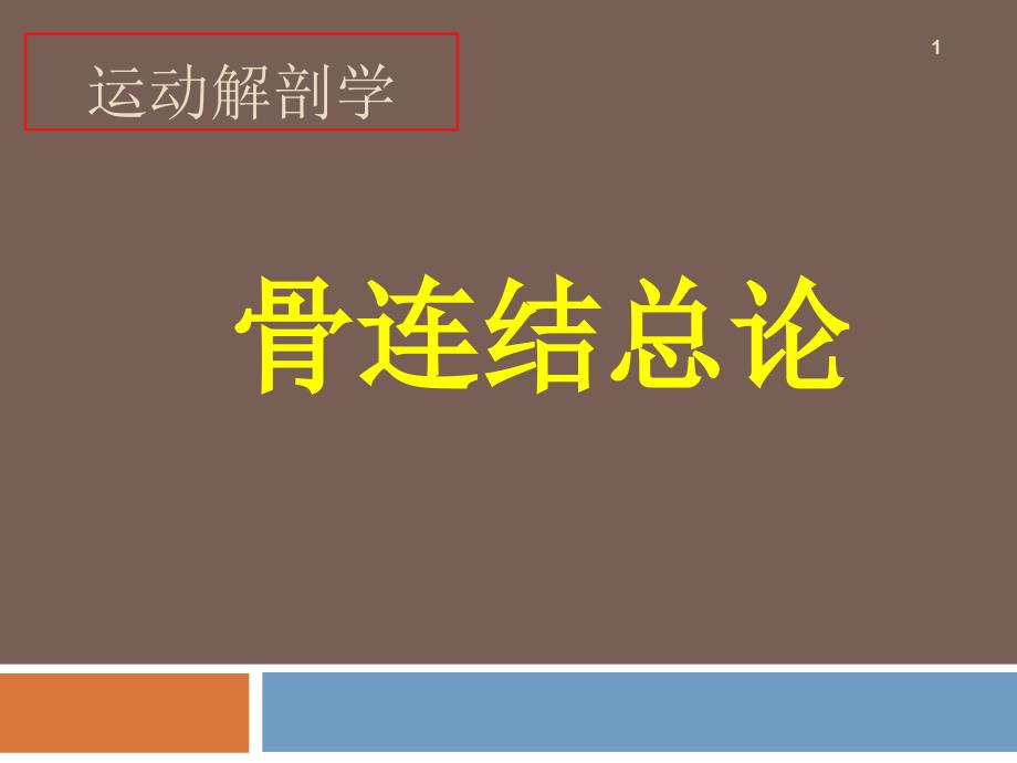 04-骨连结总论(一)-《运动解剖学》课件_第1页