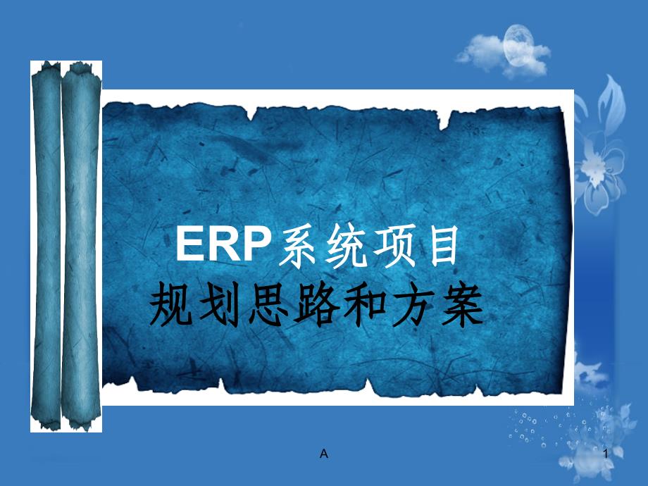 ERP规划思路和方案_第1页