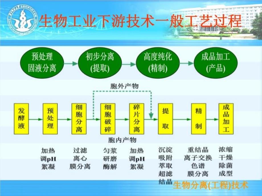 生物分离工程技术第六章沉淀与膜分离技术课件_第1页