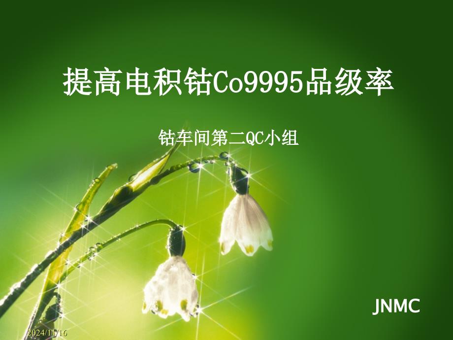 05提高电积钴Co9995品级率资料课件_第1页