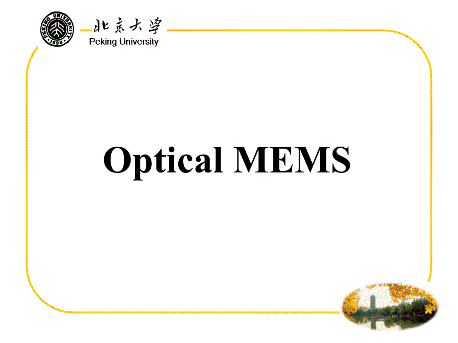 北京大学-微光学_第1页