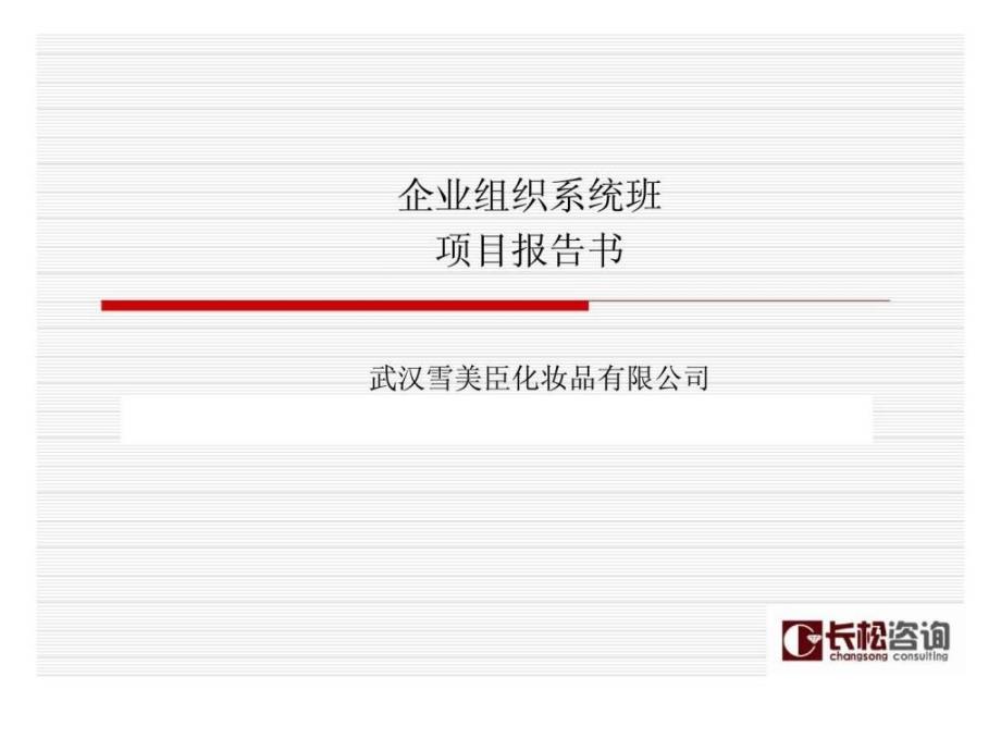 武汉雪美臣化妆品有限公司企业组织系统班项目报告书_第1页