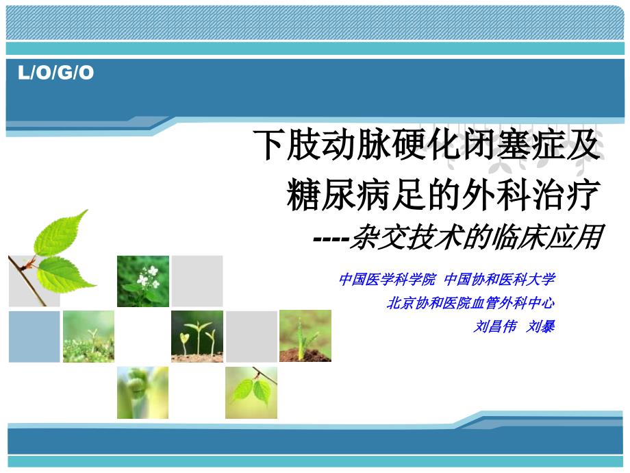 下肢动脉硬化闭塞症及糖尿病足的外科治疗----杂交技术的临床应用_第1页