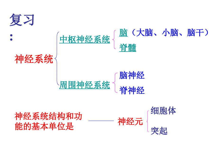 初一下册生物第六章课件,复习试卷_第1页