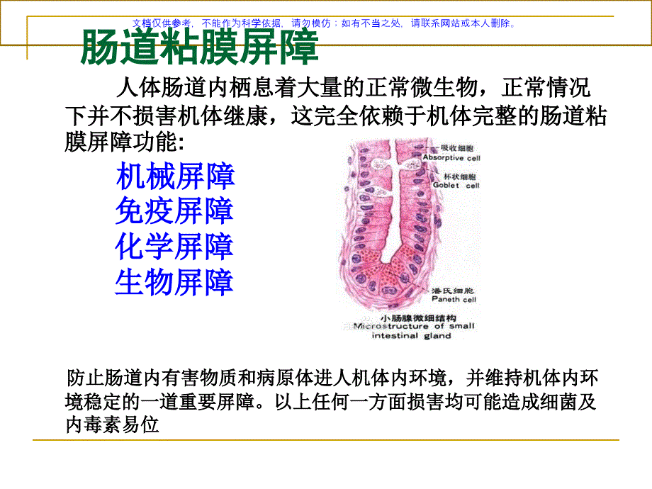 肠道功能异常和常见皮肤病的探讨课件_第1页